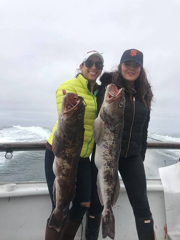 Rockfish and Ling Cod was Absolutely Wide Open