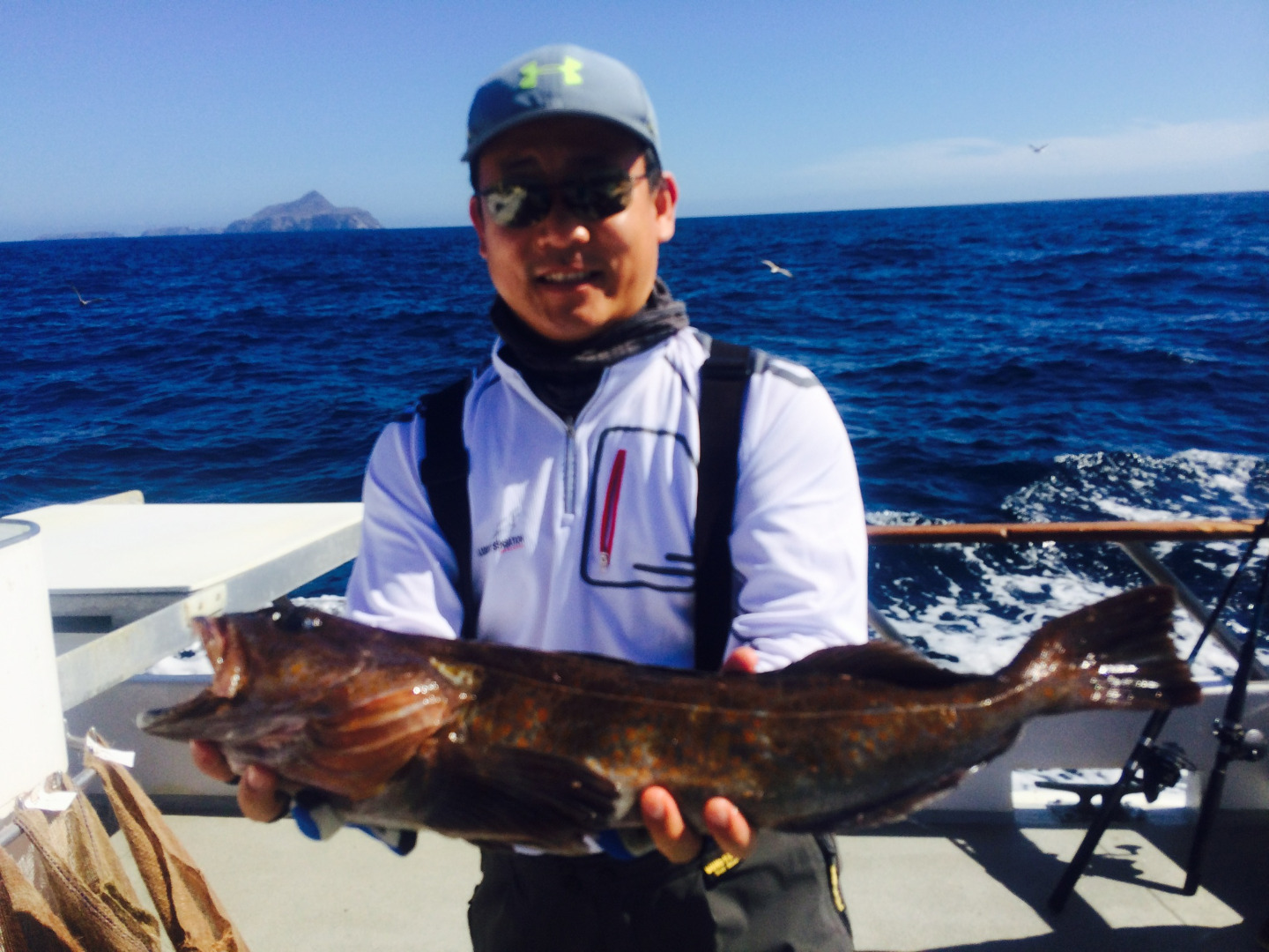 Fish counts, Fish reports, Sportfishing, CA, California, , Vanessa Chavez, ...