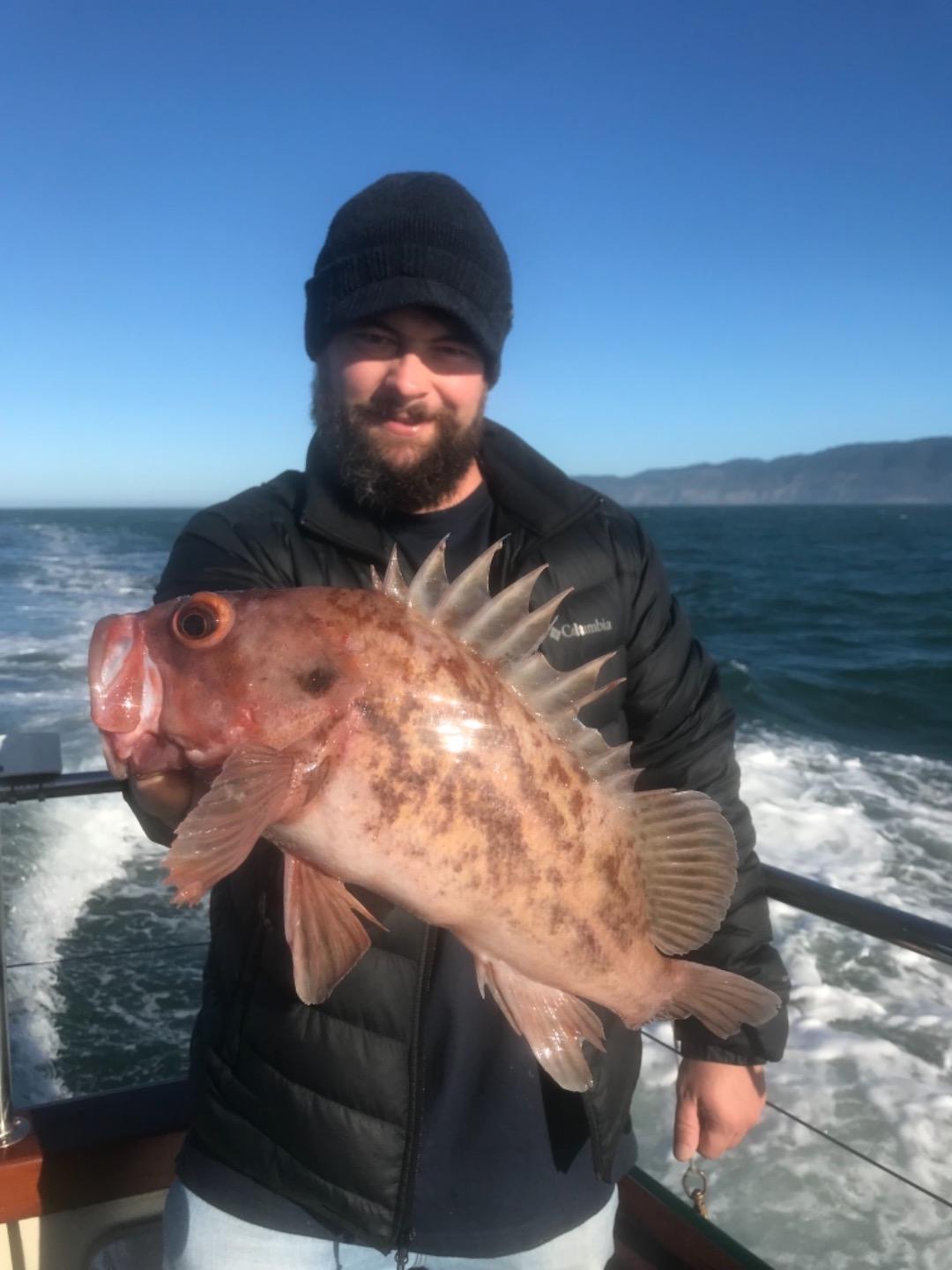 Limits of rockfish on our 1/2 day trip. 