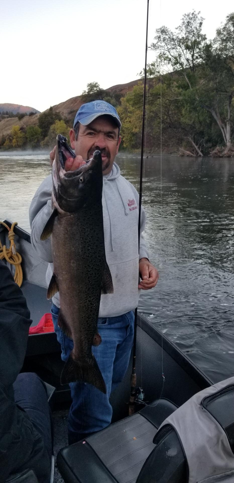 Klamath Salmon action remains solid