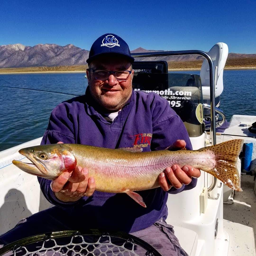 Crowley Lake Fish Report - Mammoth Lakes, CA (Mono County)