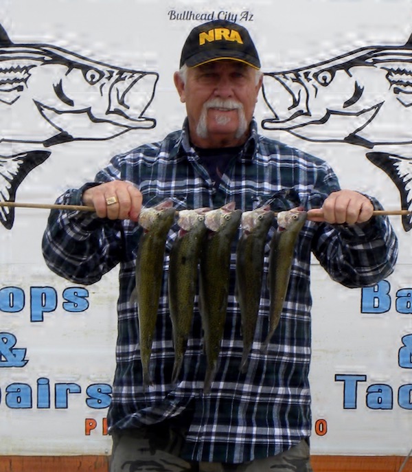 Colorado River - Davis Dam Fish Report - Davis Dam, NV