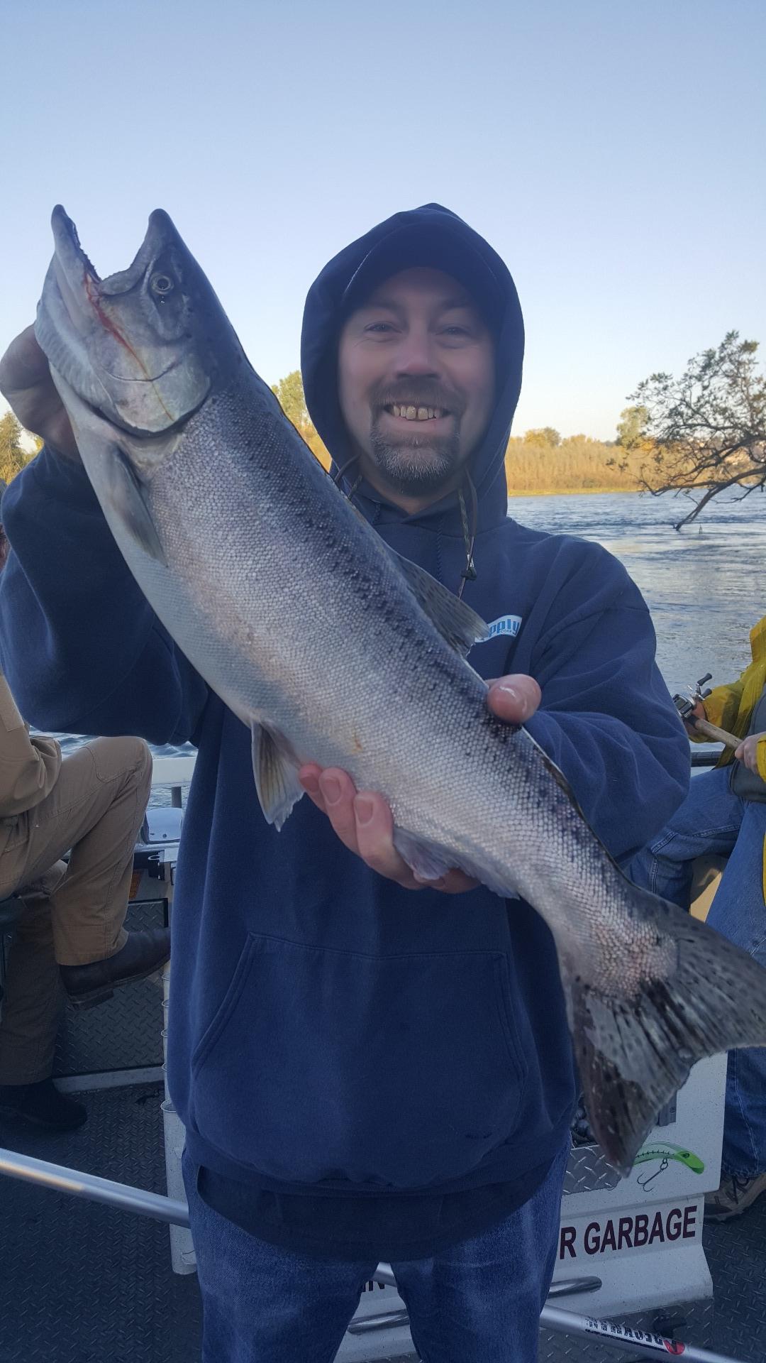 Dailey  king salmon limits!!!!