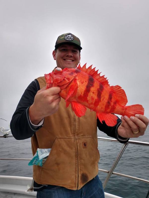 Landed Limits of Rockfish and Lingcod 
