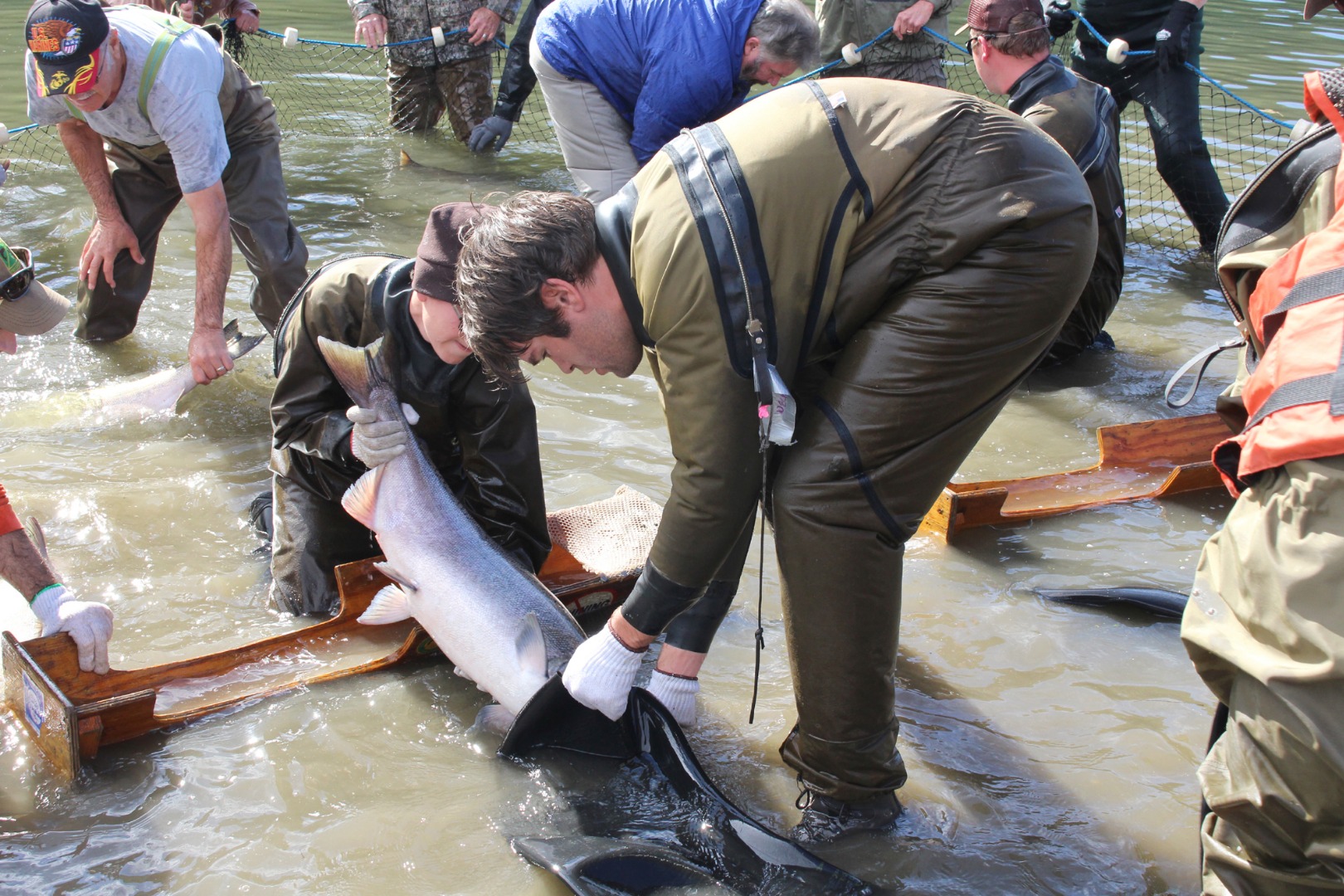 Chetco River Fish Report - Brookings, OR (Curry County)