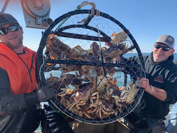 Full Limits of Dungeness Crab