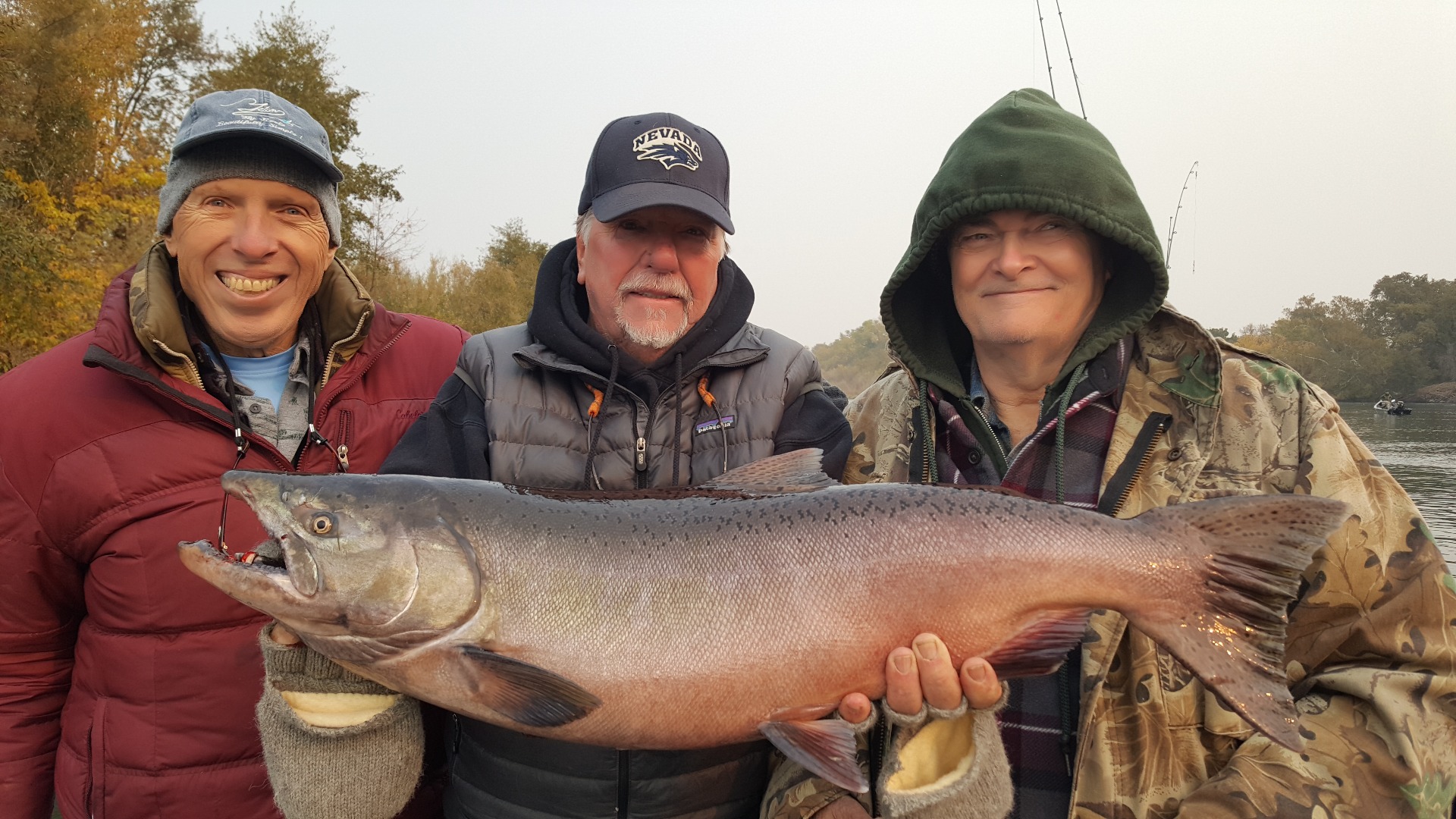 Sacramento River Fish Report - Sacramento River - Big rainbows biting on small flys! - November