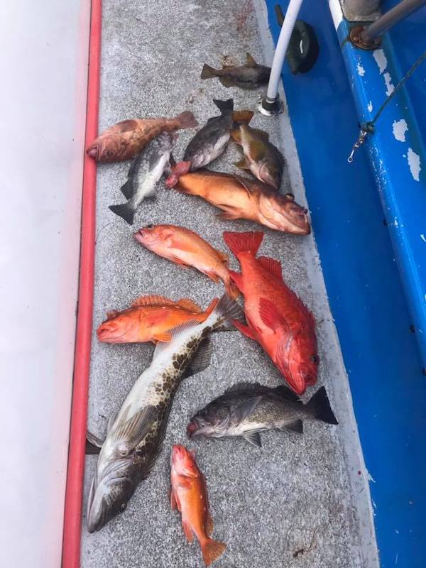 30 Limits of Rock ish and Crabs