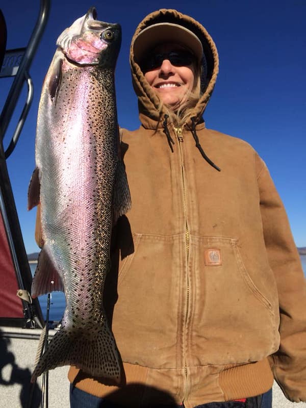 Eagle Lake Trout