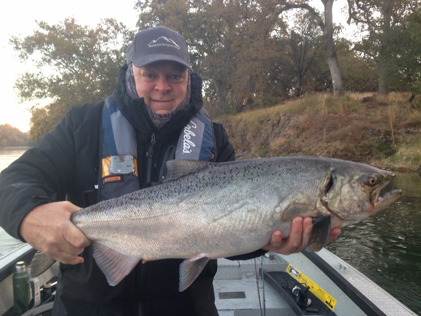 Salmon  with turkey dinner !