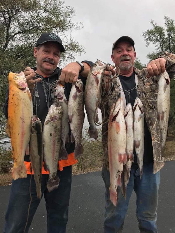 Now That's a Stringer Full of Trout