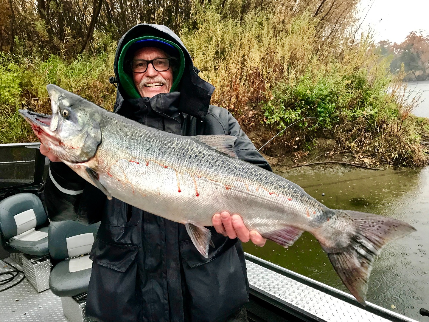 Sac River Kings and hatchery steelhead!