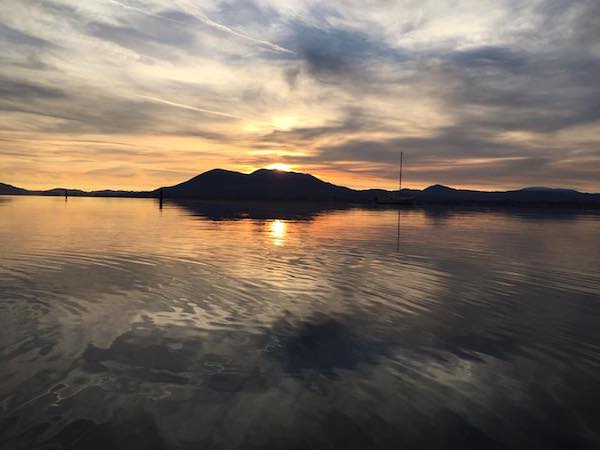 Bass and Catfish Bitting on Clear Lake