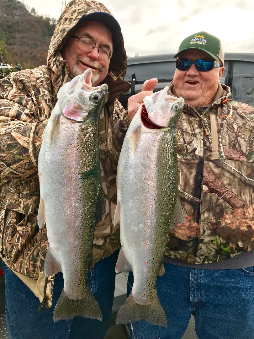 Shasta lake winter trout bite continues!