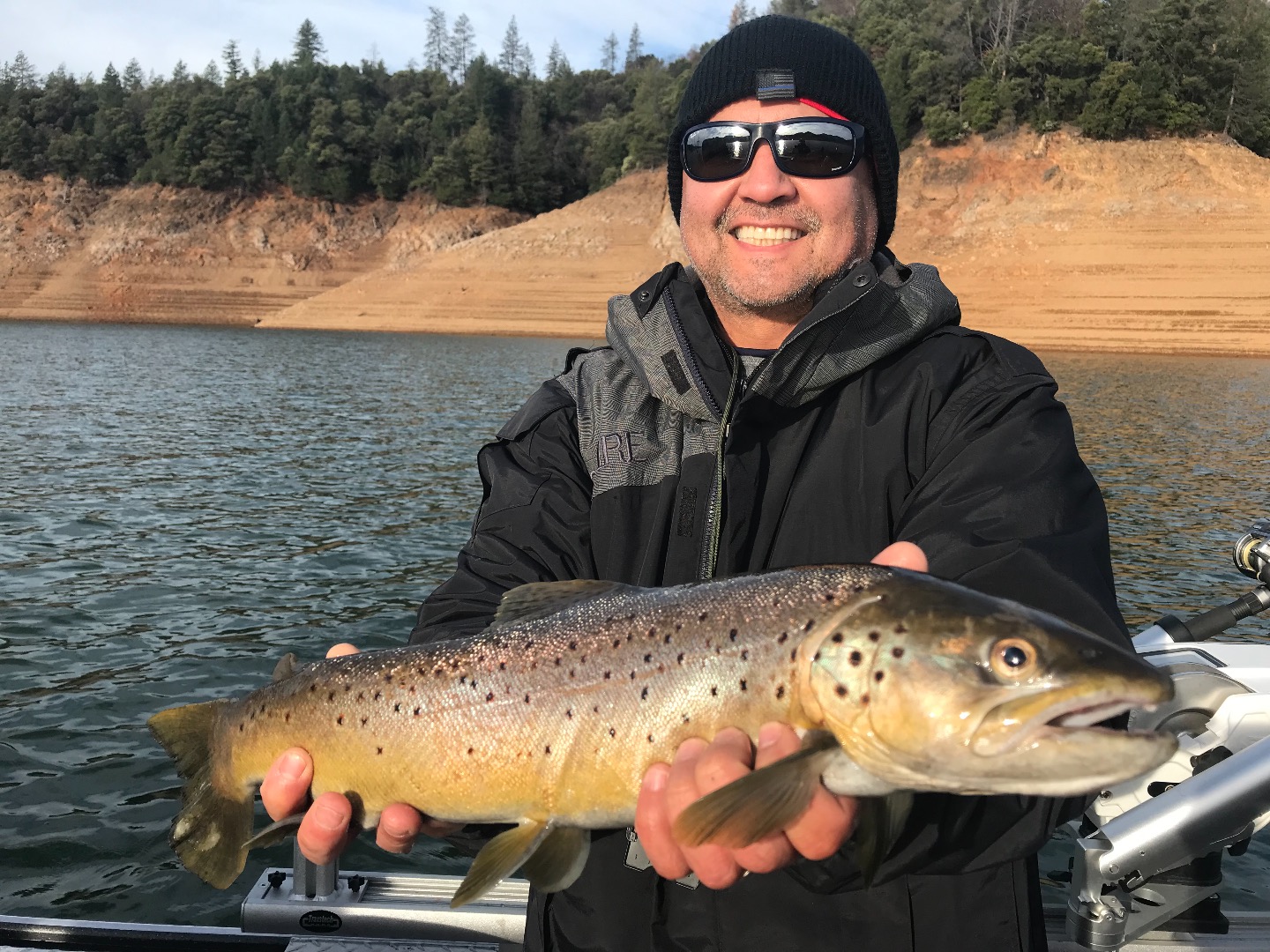 Shasta Lake trout are staging in the lake arms.