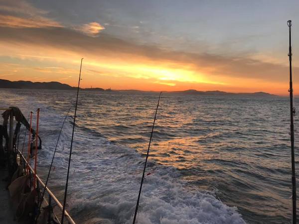 Another Great Day at the Farallon Islands