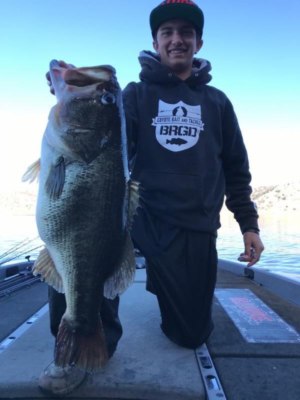 New Melones Reservoir Fishing Report