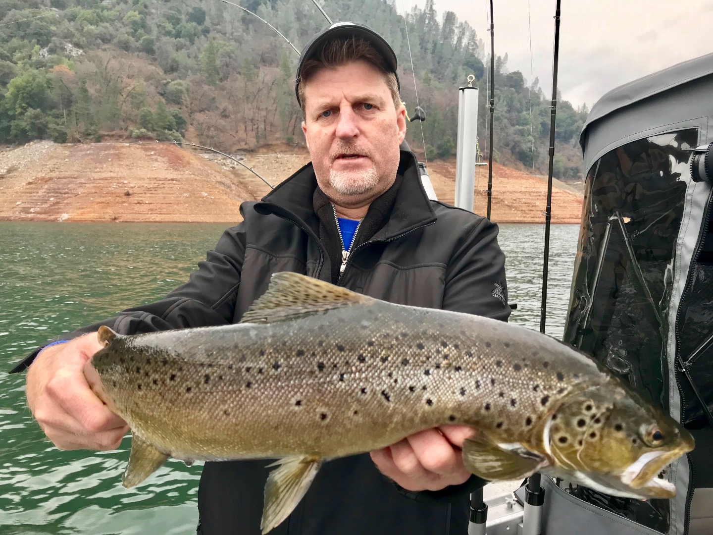 Shasta Lake browns taking center stage!