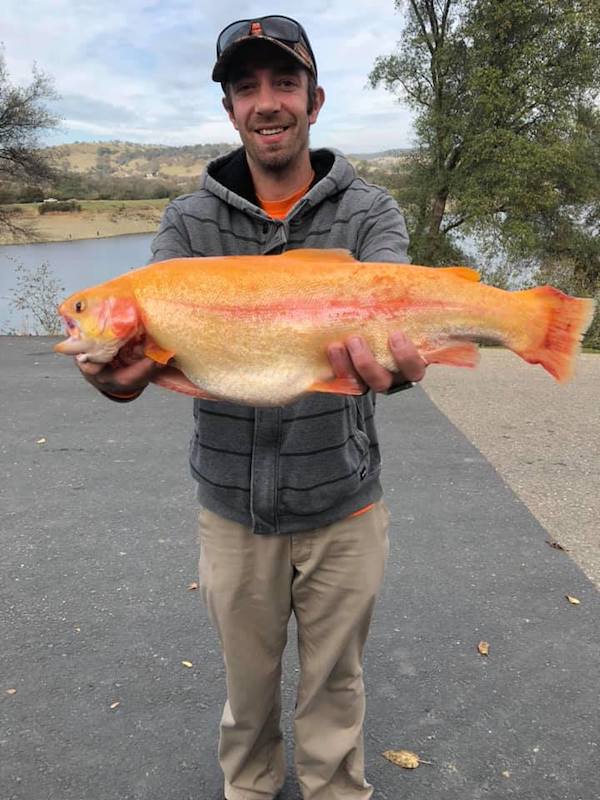 Lake Amador Fish Report 12-15-2018