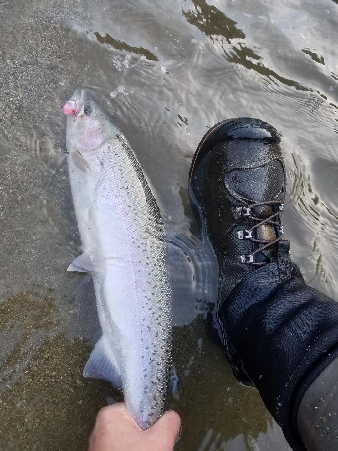 Winter Steel on the Klamath 