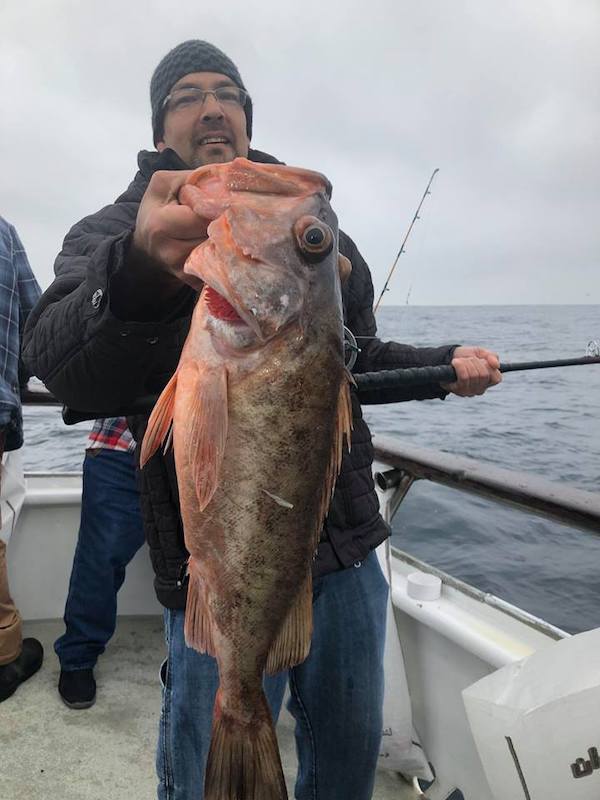 Decent Fishing on Both the Rockfish and Lingcod