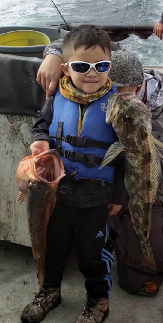 Schools of Hungry Rockfish