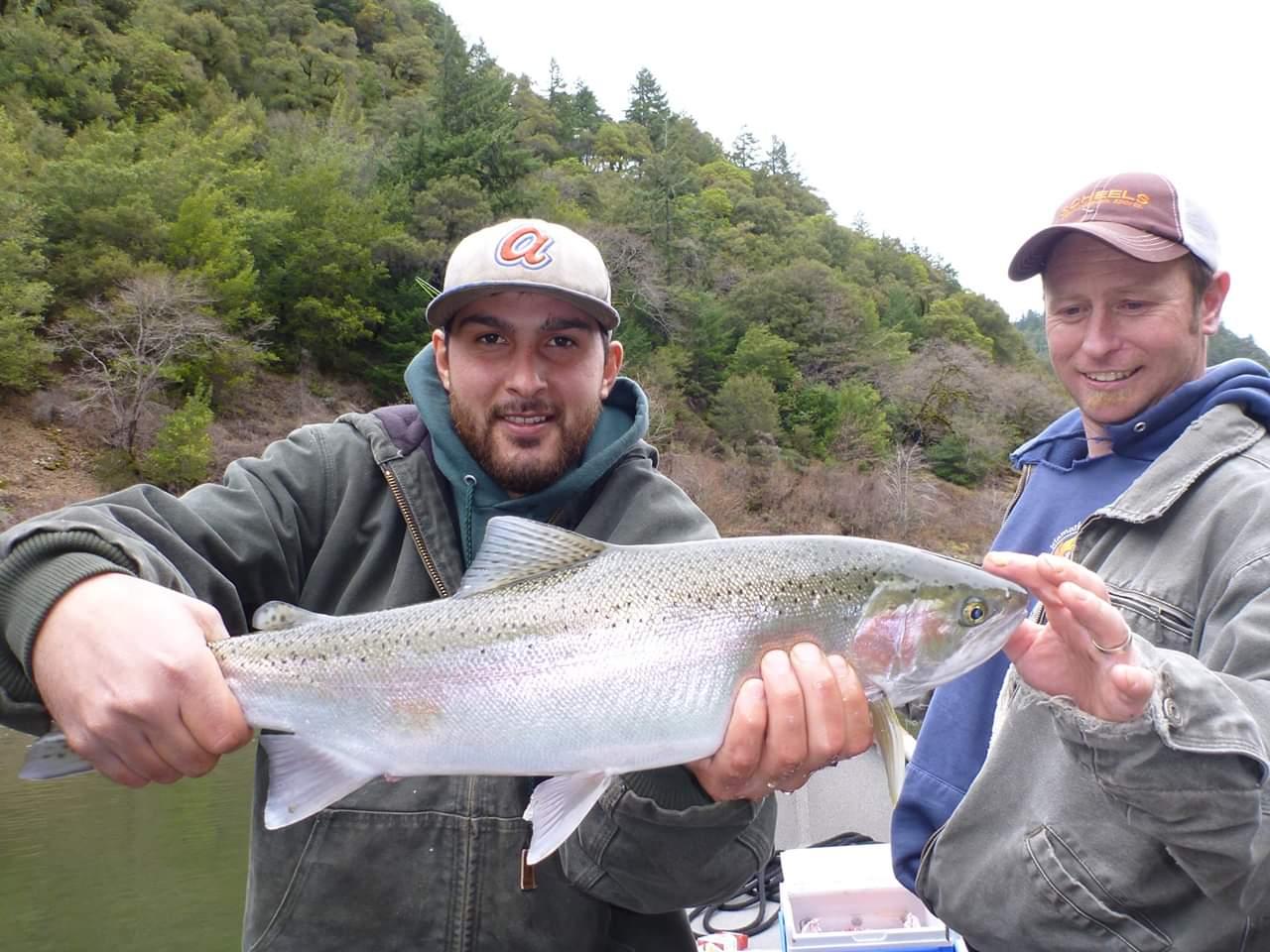 STEELHEAD ARE TRICKLING IN