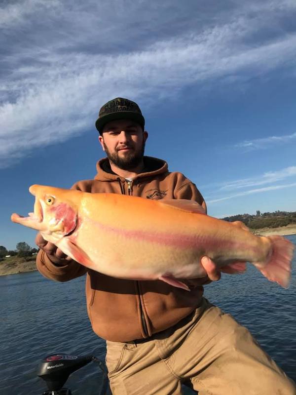 5.9LB Lightning Trout