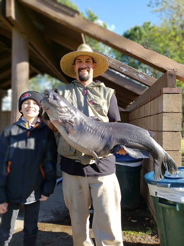 Fish Photos - Catfish - City of Escondido