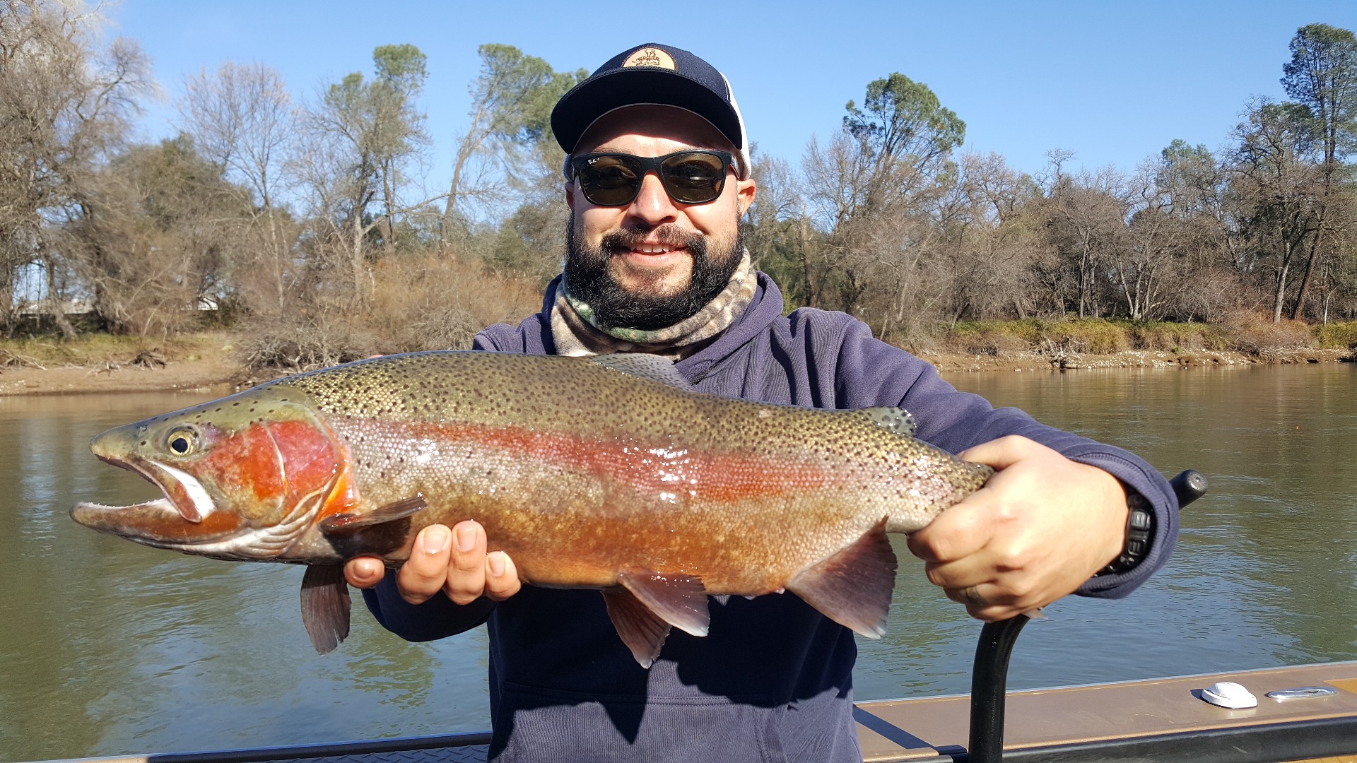 sacramento river trout and steelhead  on the bite!!
