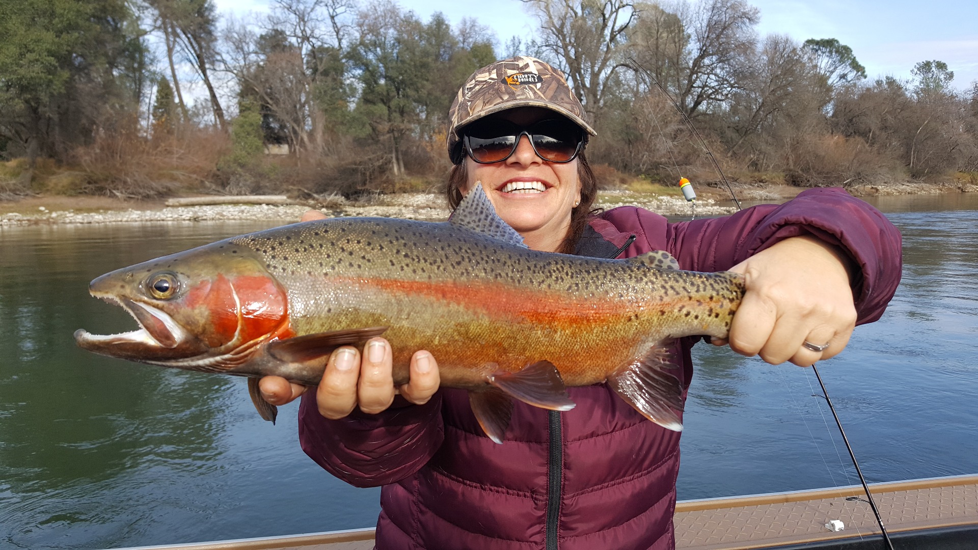 Sacramento River Fish Report - CA