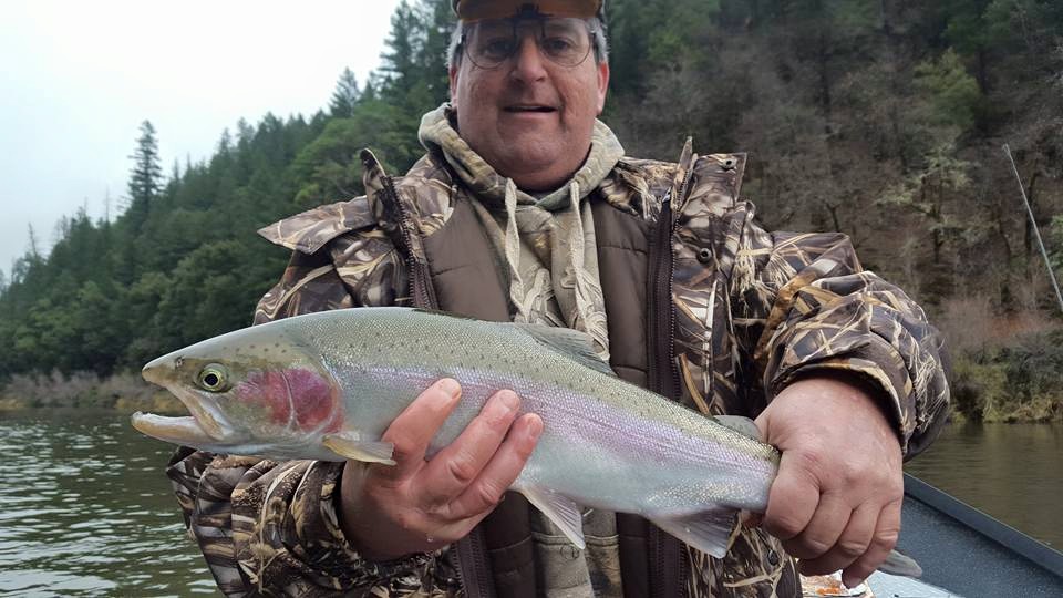 Plenty of Steelhead in the Klamath