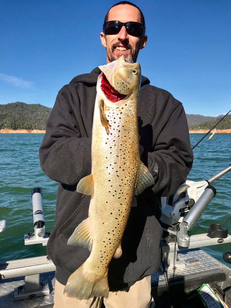 Shasta Lake Trout Fishing Report!