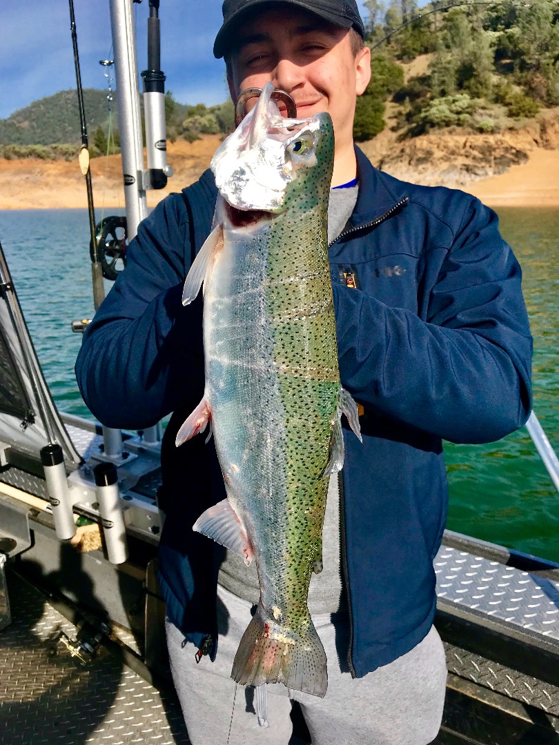 Shasta Lake fishing report!