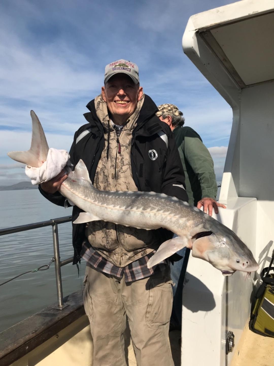 San Pablo Bay Sturgeon 