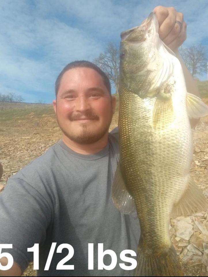 Bass Anglers Report a Good Bite on the Lake