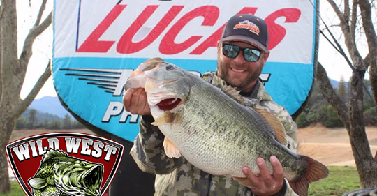 Shasta Lake Fish Report - Shasta Lake - Niapas Breaks Records at Shasta  Pro-Am - January 30, 2019