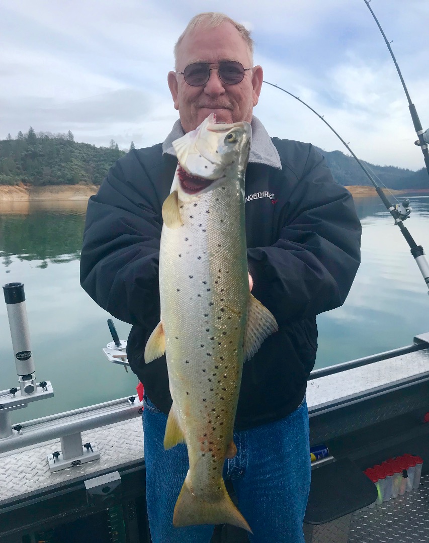 Brown trout fishing report.