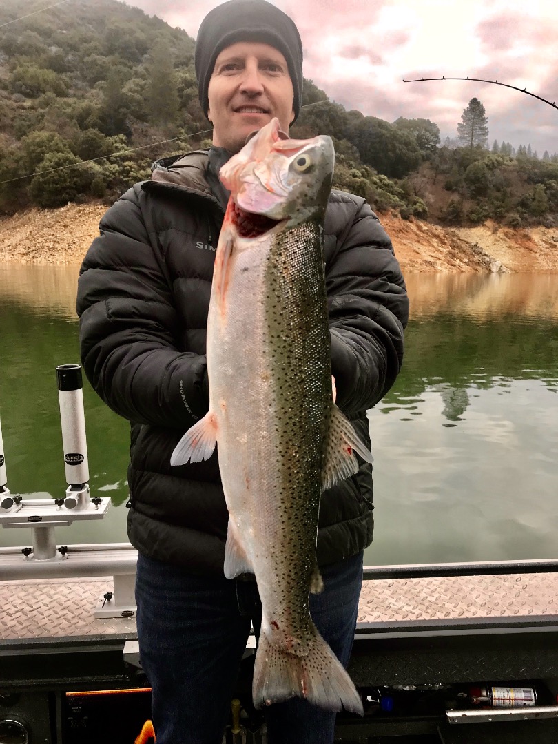 Shasta Lake trout time!