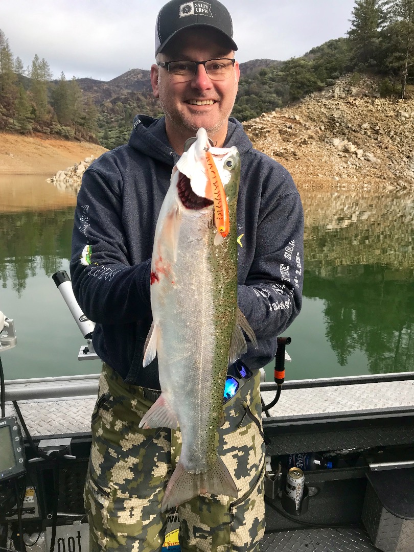 Shasta Lake trout cool off! 