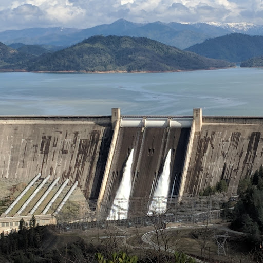 Shasta Lake Update