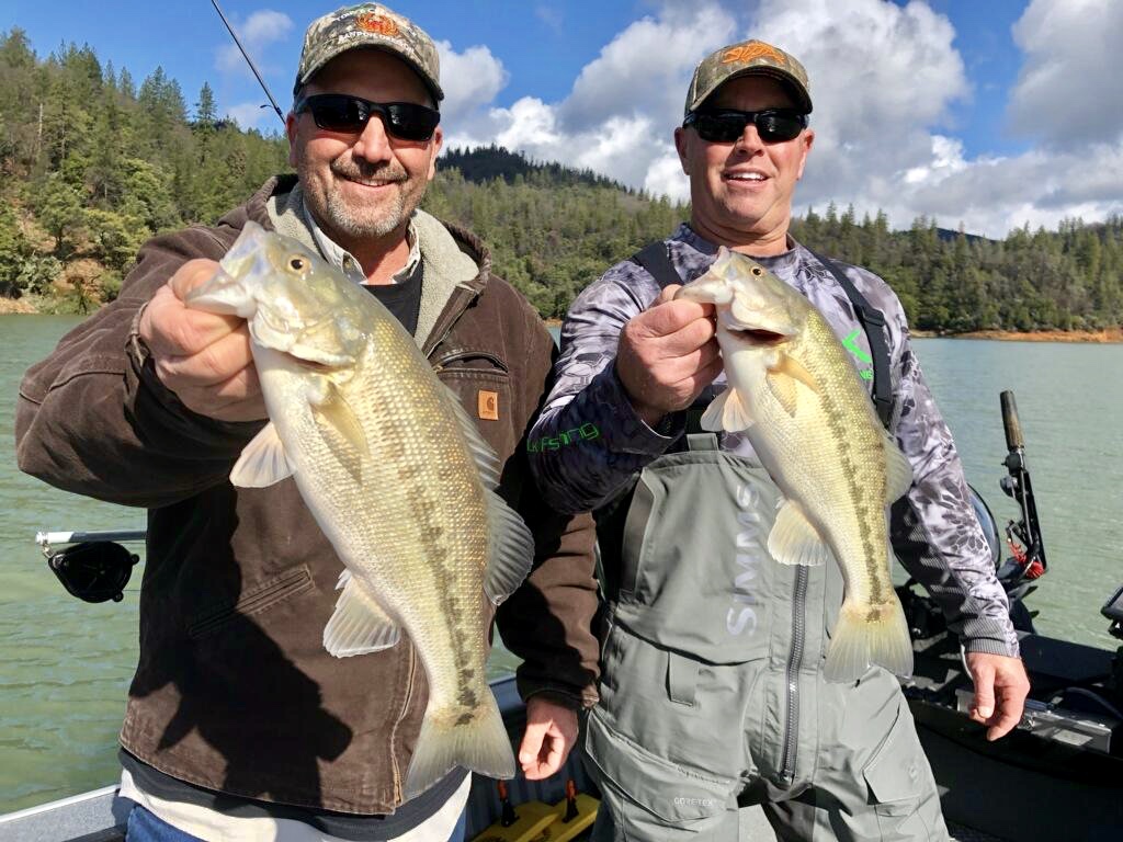 Shasta Lake Spotted bass on a hot bite!