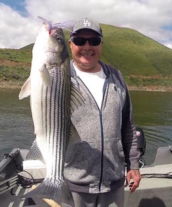 diamond valley lake dvl swimbaits for stripers and bass