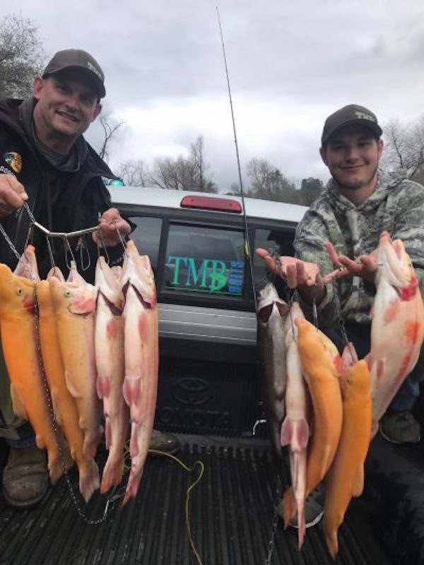 Mt. Lassen Trout Stocked 