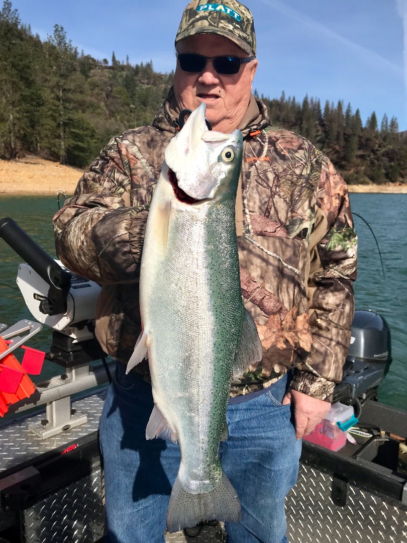 Big bite on Shasta Lake today!