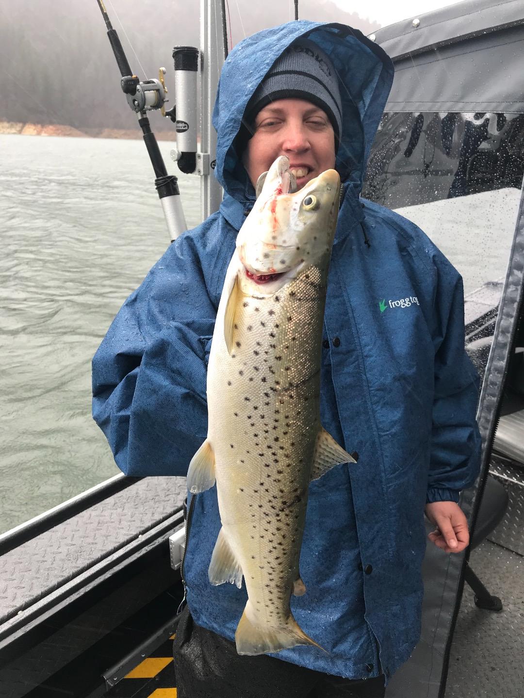 Wet and wild trout on Shasta Lake!