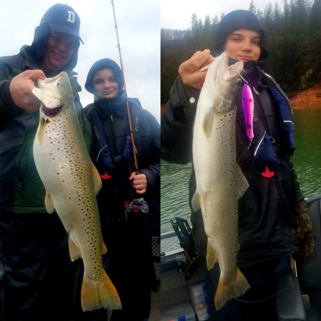 Chasing Big Troohy Browns on Shasta Lake 