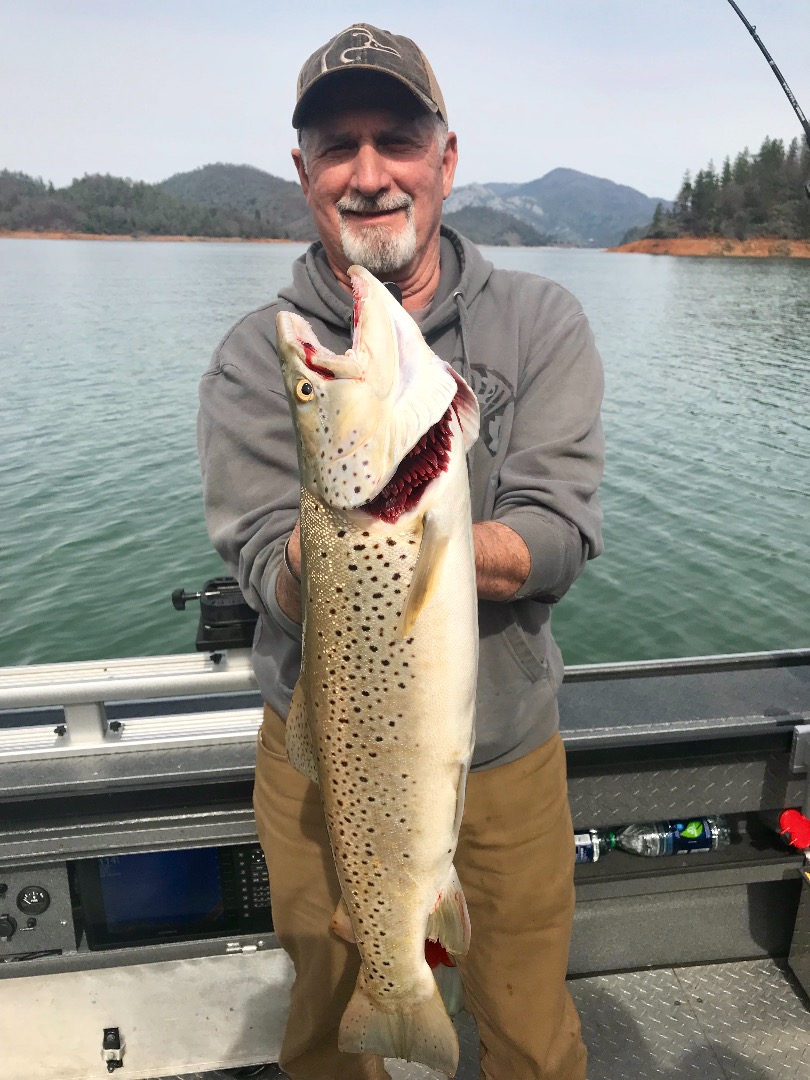 Big Shasta trout bite! 