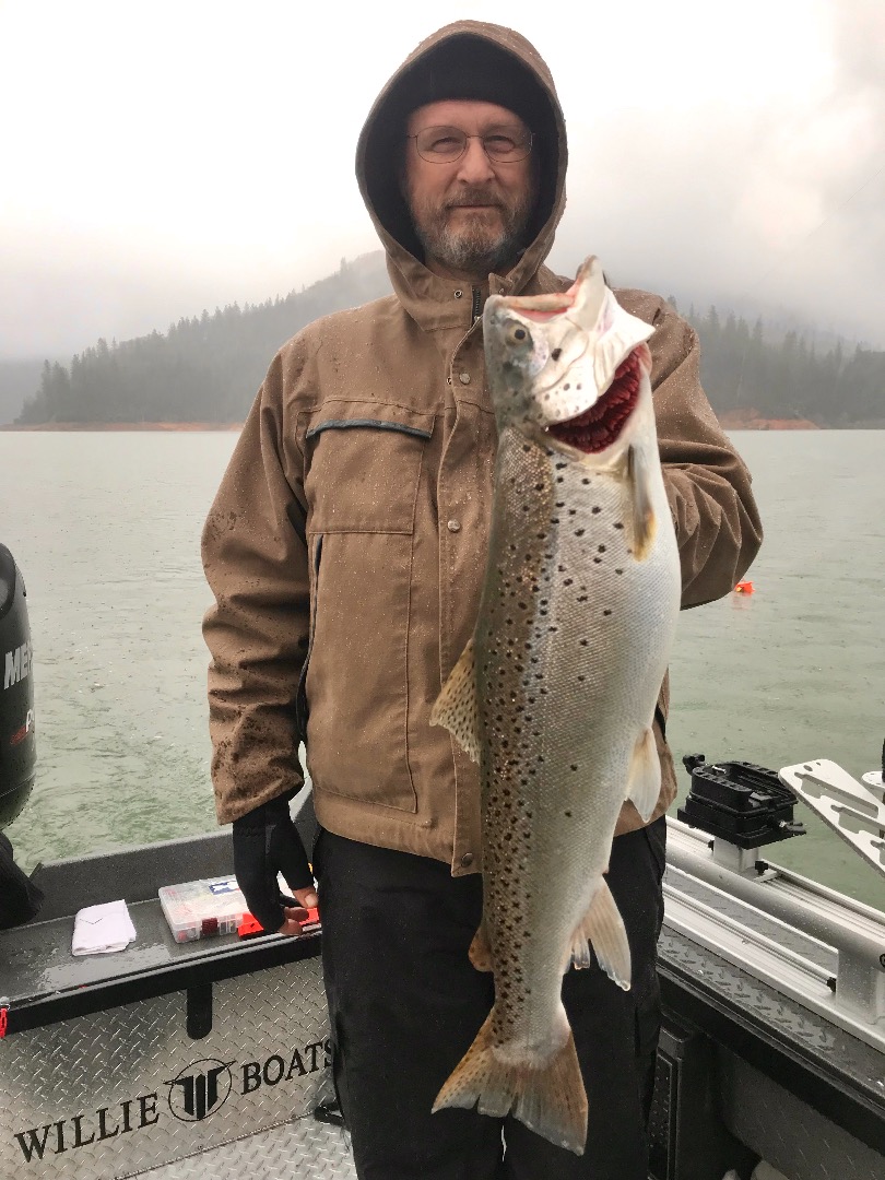 Big Shasta trout in a big rain!
