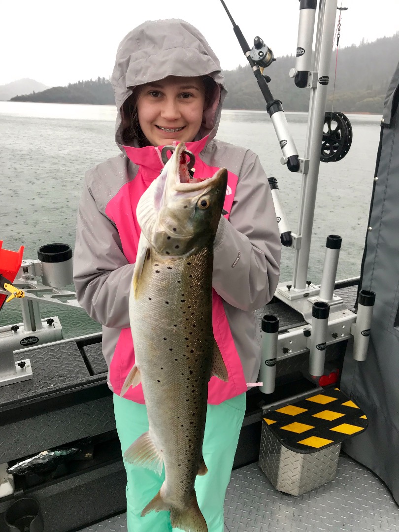 Shasta Lake report